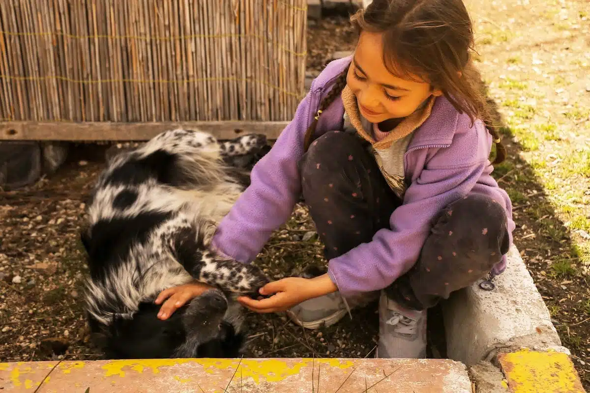 enfant  animal